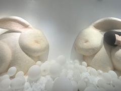 -辰熙ACX星海艺术中心