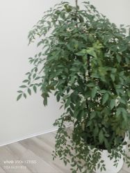 -HEYAN荷妍专业脱毛连锁机构