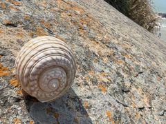 -阿军排档·烧烤