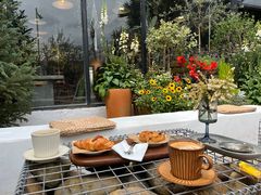-自由生长植物工作室(深港花卉中心店)