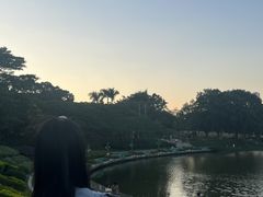-东莞植物园