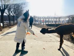 -优沃得自然教育农场·冰雪乐园·生日会·研学