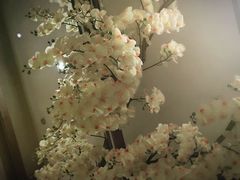 -润泽园椰子鸡(汇一城店)