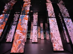 -中国湿地博物馆