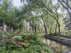 -洛阳市隋唐城遗址植物园