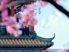 -宝墨园景区