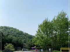 -都江堰中华大熊猫苑