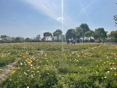 -歌斐颂巧克力小镇