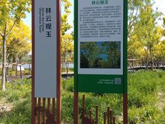 -东郊湿地公园