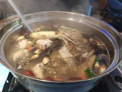 -千岛蚝高压锅生蚝·人参火锅(白云万达店)