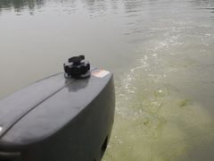 -三圣花乡旅游区