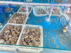 -老太太海鲜城(森林公园任家台店)