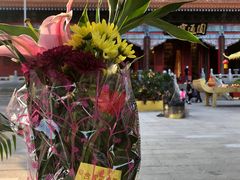 -广州莲花山旅游区