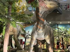 -湖南省地质博物馆