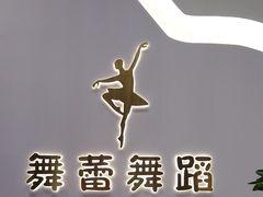-舞蕾舞蹈(特长生校区)