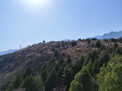 -白水寺森林公园