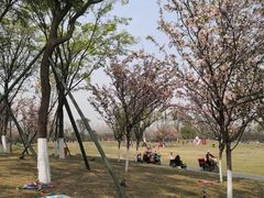-府河摄影公园