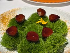 -鹿园 MOOSE(长宁店)