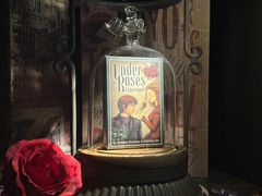 -雪灵魔法世界SHELLY’S TAROT(大良桂畔里店)