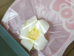 -冰椰岛椰冰(亚龙湾店)