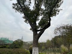 -昆山城市生态森林公园