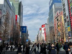 -秋叶原电器街