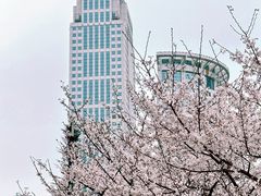 -西北湖绿化广场