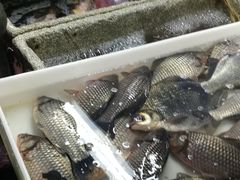 -北京清河镇农副产品交易市场中心