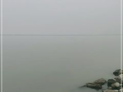 -合肥滨湖国家森林公园