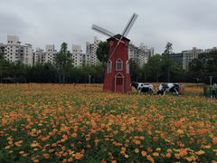 -大宁灵石公园西门票处