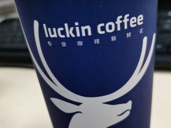 -瑞幸咖啡(巴黎春天陕西路店)