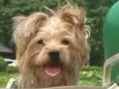 -真功夫(中医院店)