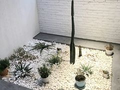 -禾康家蛋糕店