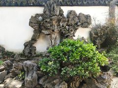 -上海醉白池公园