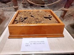 -中国人民革命军事博物馆