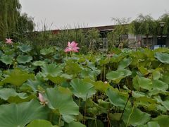 -河北村民俗体验园