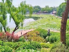 -郭守敬纪念馆