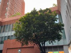-香港大学