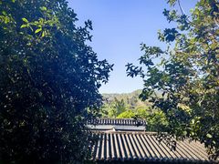 -林丰温泉度假山庄