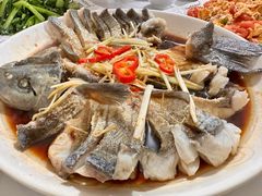 -煲来饱去冷水鱼