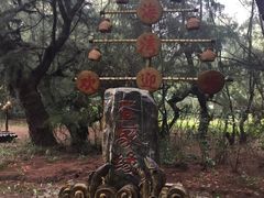 -北海金海湾红树林生态旅游区