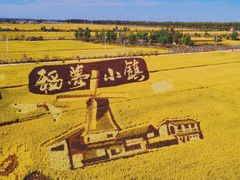 景点-稻梦空间