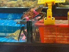 -醉壹号海鲜大排档(厦门美食地标店)