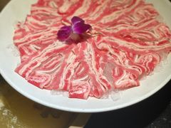 -小龙坎火锅(大宁音乐广场店)