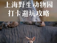 -上海野生动物园