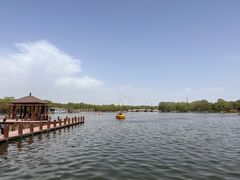-石家庄市植物园