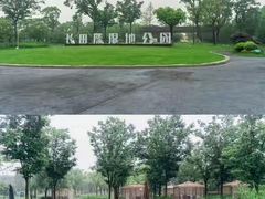 -长田漾湿地公园