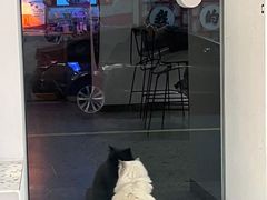 -FULL MOON满月咖啡