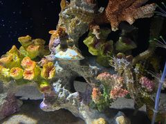 -欢乐海岸海洋奇梦馆