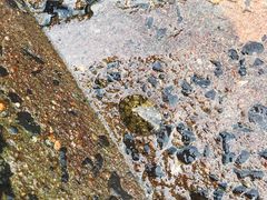 -白沙门生态公园